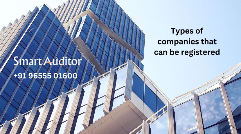 Types of companies that can be registered