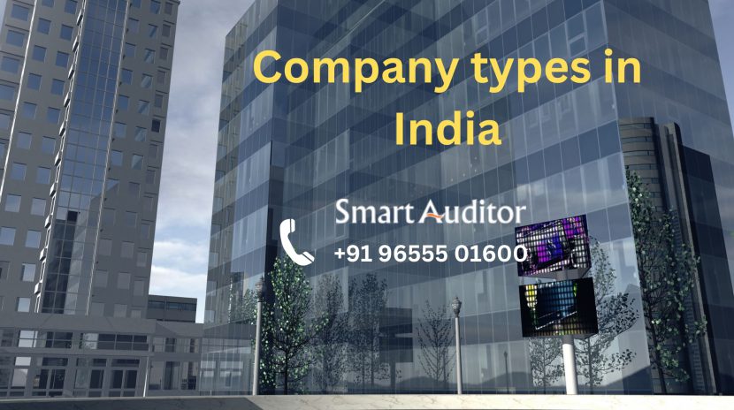 Company types in India